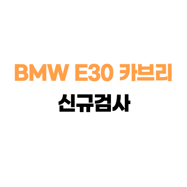 BMW E30 카브리 컨버터블 BMW E30 카브리 재 신규검사
